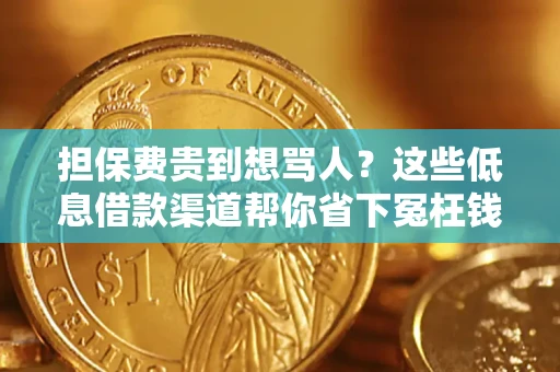 北京担保费贵到想骂人？这些低息借款渠道帮你省下冤枉钱