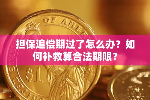 北京担保追偿期过了怎么办？如何补救算合法期限？