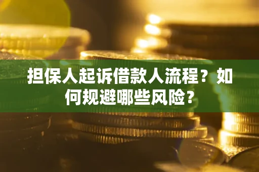 北京担保人起诉借款人流程？如何规避哪些风险？