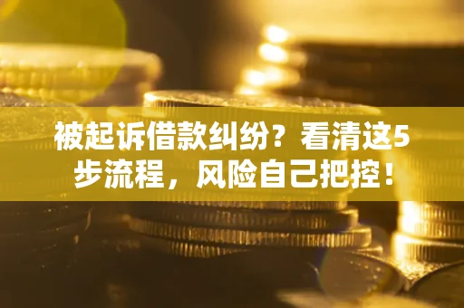 北京被起诉借款纠纷？看清这5步流程，风险自己把控！
