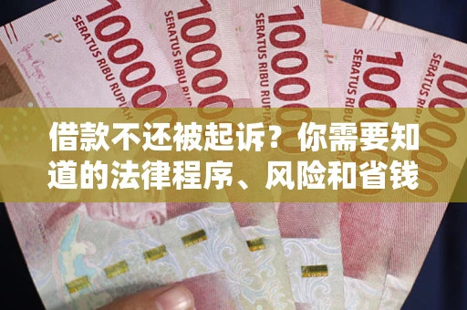 北京借款不还被起诉？你需要知道的法律程序、风险和省钱技巧