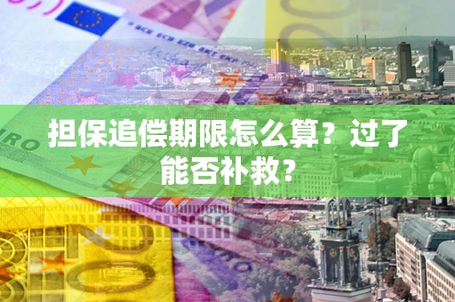北京担保追偿期限怎么算？过了能否补救？