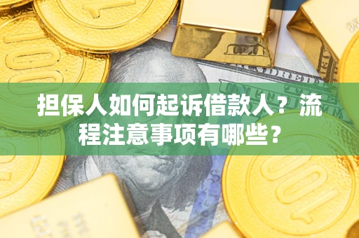 北京担保人如何起诉借款人？流程注意事项有哪些？